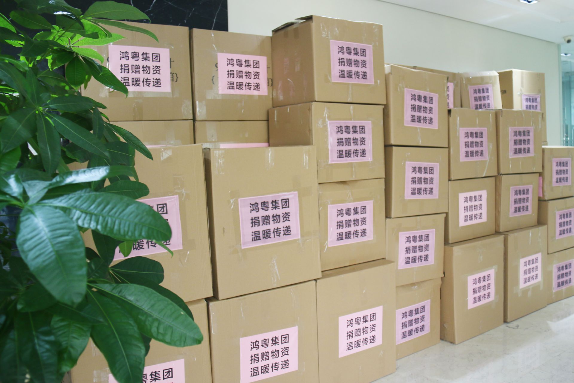 乐动网站平台-乐动(中国)一站式服务平台公益回顾丨家国同欢月同圆 温暖满载甘孜州(图1)